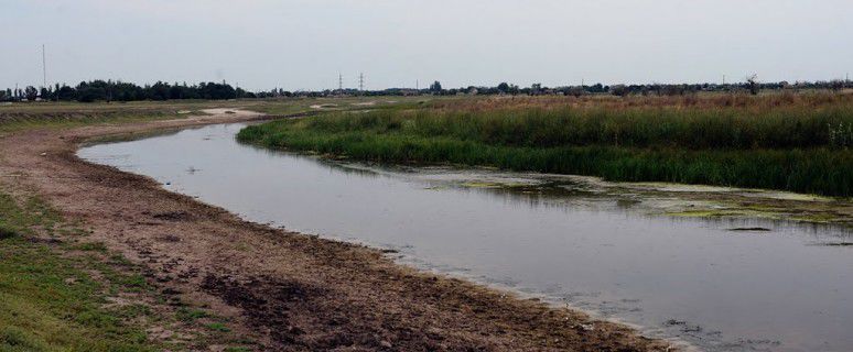 Низкий уровень воды отрицательно сказывается и на речной фауне.