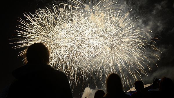 Жители Финляндии предложили полностью запретить пиротехнику в стране.