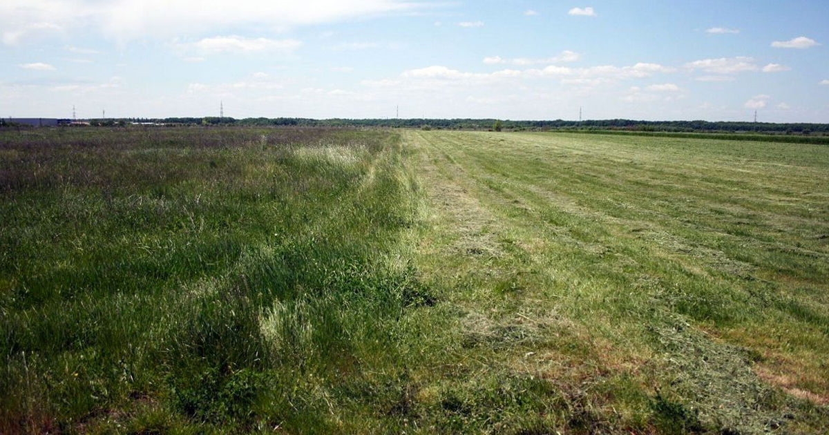 Fiecare al zecelea hectar de pământ din Moldova nu este cultivat: Cele mai multe terenuri se află în centru.