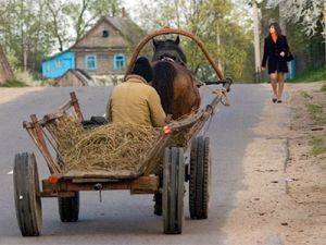 Пострадавший скончался, получив травму головы, несовместимую с жизнью.