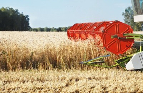 De menționat că, în anul 2012, prețurile la producția agricolă în Moldova s-au majorat cu 17,7%.
