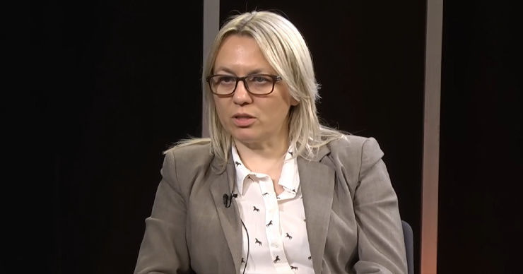 Кантараджиу: Разрешение для Рыбницкого завода – цена за электроэнергию.