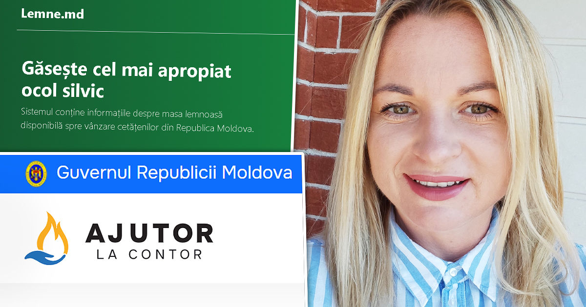 Журналистка: lemne.md и compensații.gov.md две бесполезные платформы. Коллаж: Point.md