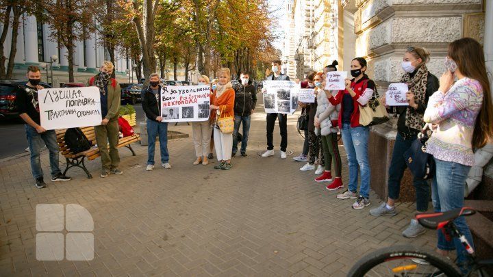 Зоозащитники провели протест против мунпредприятия "Аутосалубритате". Фото: publika.md.