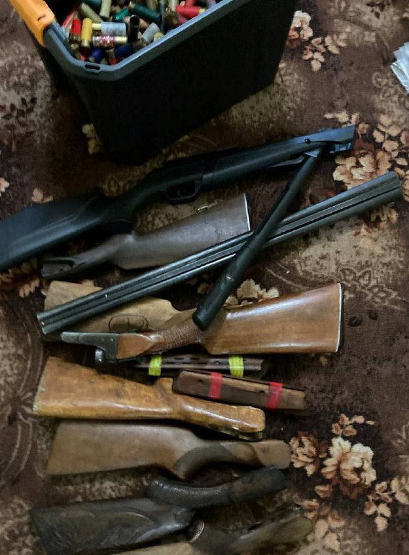 В Ниспоренах арестован мужчина, устроивший дома оружейный склад.