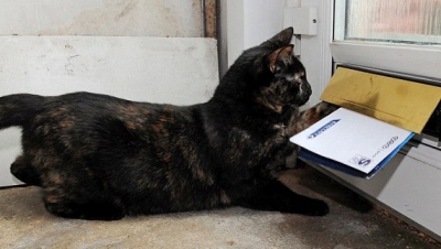 Planul a fost dejucat însă de angajaţii penitenciarului.