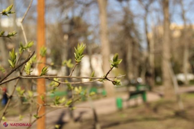 Temperaturile se vor situa mâine între plus 7 şi plus 12 noaptea, iar ziua – între 18 şi 23 de grade Celsius cu plus.