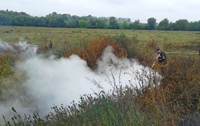 Пожарные тушат 24 очага тления торфа в разных районах области.