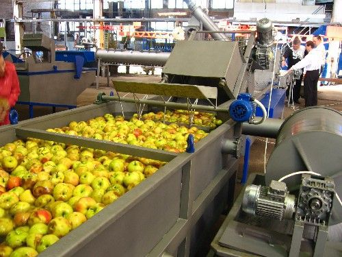 Объем переработки и консервирования фруктов и овощей вырос на 11%.