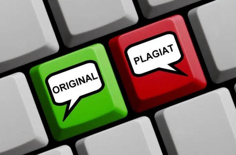Moldova ar putea elabora un soft de prevenire a plagiatului.