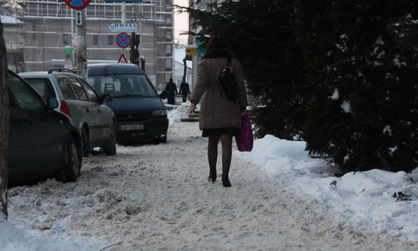 În Suceava, zăpada şi vântul puternic au făcut prăpăd.