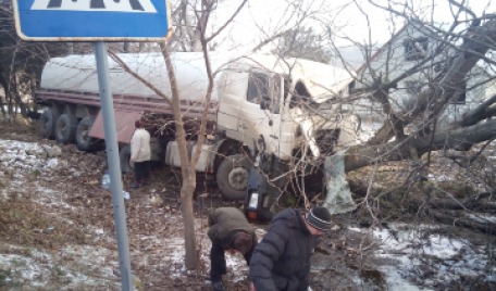 Doi copaci au fost doborâţi de un camion de mare tonaj în această dimineaţă, în satul Cneazevca, raionul Leova.
