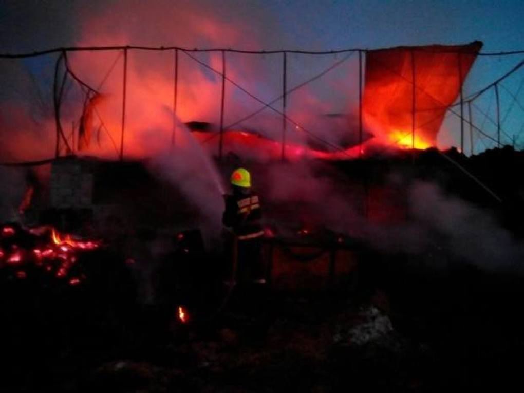 În incendiul de la Geamăna și-au găsit sfârșitul mai bine de 40 de animale. Foto: dse.md