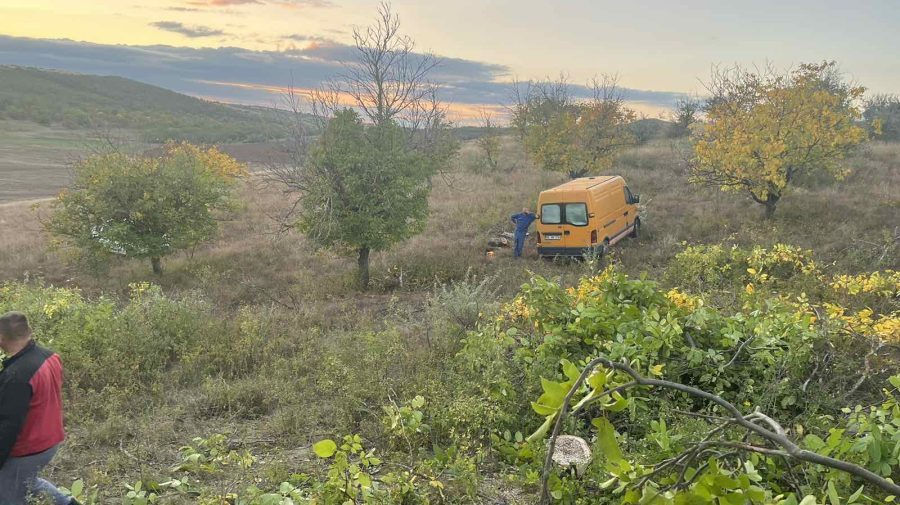 В Сынжерей двух мужчин оштрафовали за незаконную вырубку деревьев.