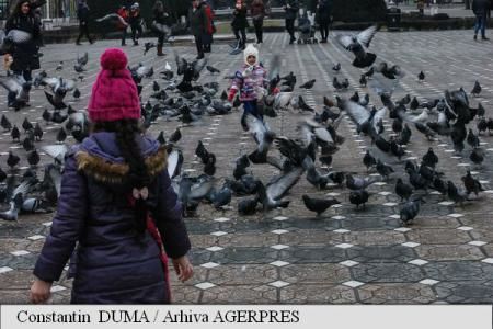 Copiii hiperactivi și cu deficit de atenție suferă de "o tulburare cerebrală" produsă de lentoarea creșterii neuronale. 