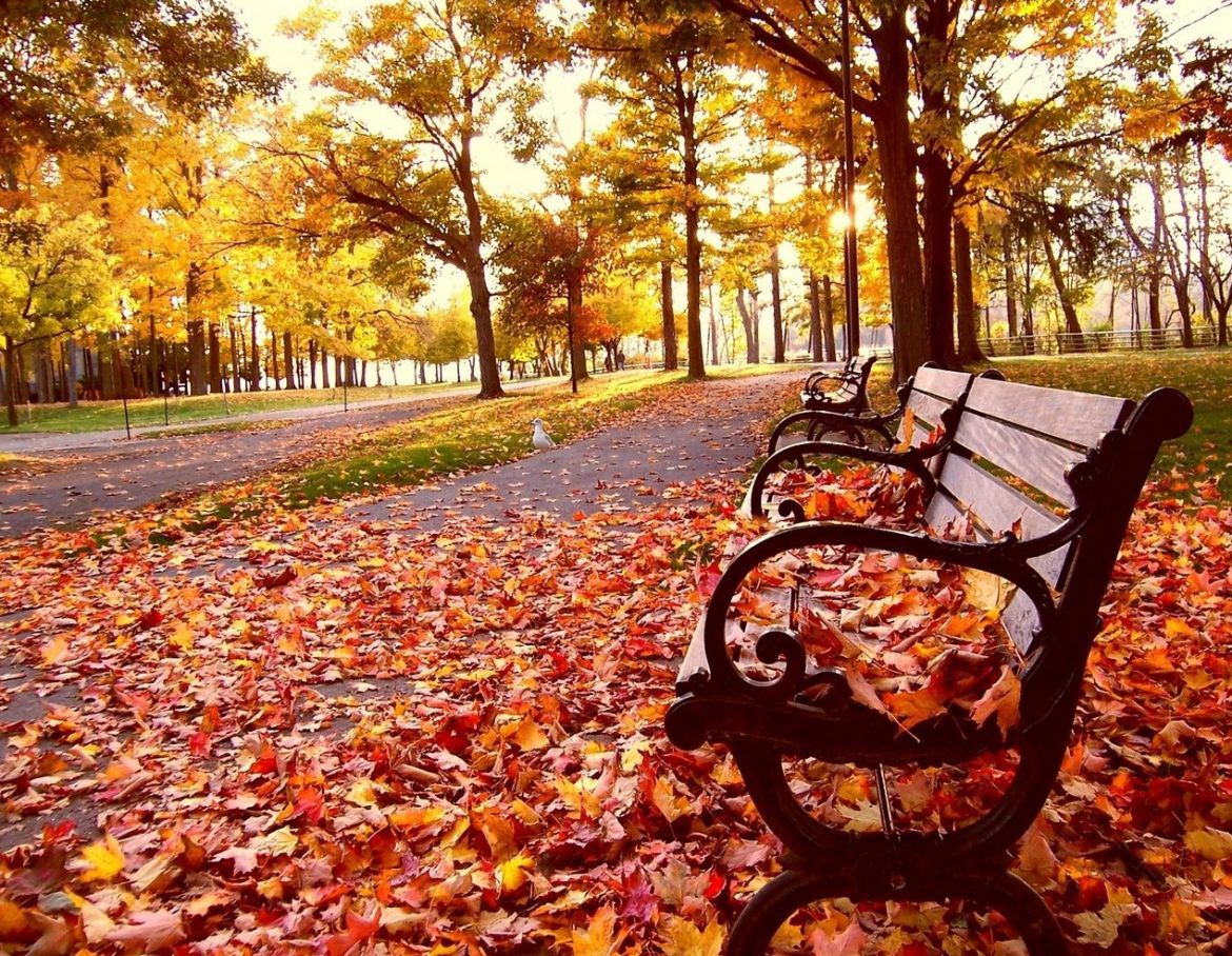 Noaptea minus, ziua plus. Prognoza meteo pentru această săptămână. Foto: youthareawesome.com