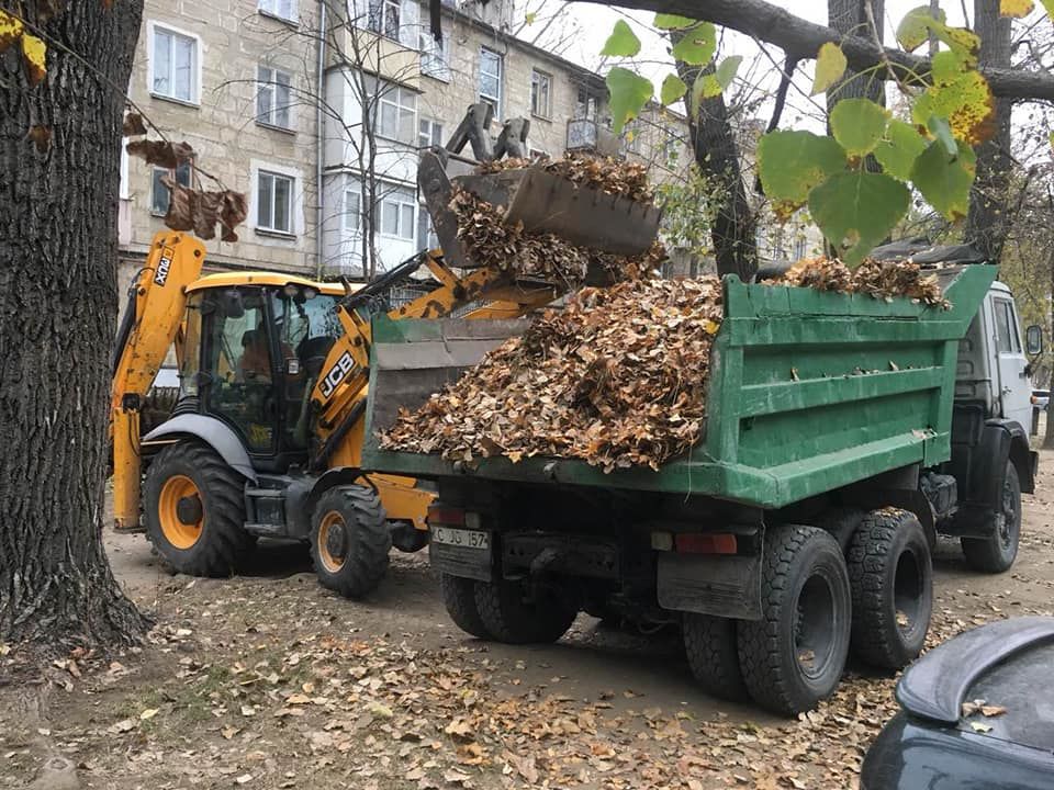 На Ботанике идет работа по уборке территории.