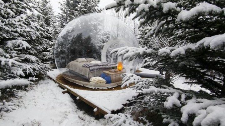 Hotel de poveste în Islanda: Poți admira mijlocul pădurii din pat. Foto: publika.md