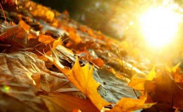 Detalii privind prognoza meteo puteți afla pe meteo.point.md.