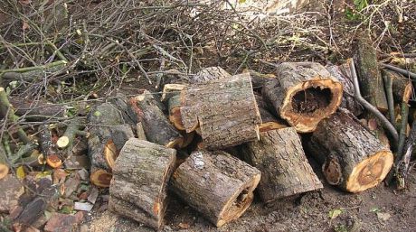 В октябре нарушений было 45, а в ноябре их число увеличилось до 65.