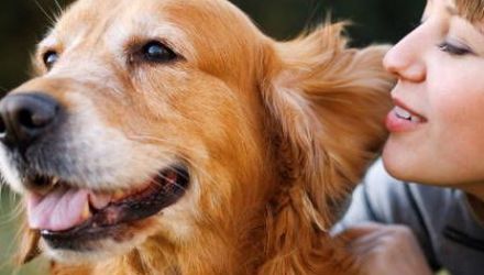 Astfel, peste 25% dintre femeile participnate la studiu au mărturisit că preferă să renunțe la iubit decât să se despartă de animalul mult iubit