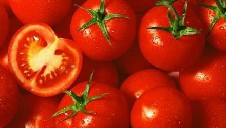 Unităţile de transport sunt returnate în ţara de origine a produselor agricole