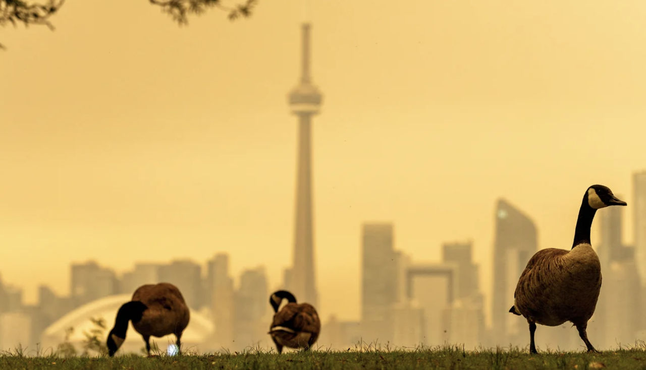 Fumul provocat de incendiile forestiere din Canada a ajuns în New York, Detroit și Minneapolis.