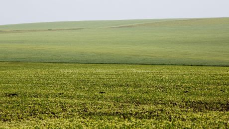 Fermierii îşi vor primi subvenţiile restante de anul trecut. Foto: publika.md