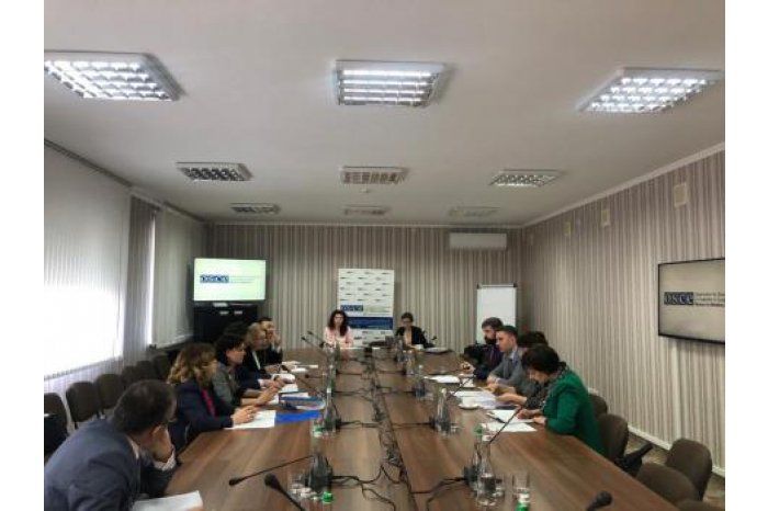 В Тирасполе прошло заседание рабочих групп по вопросам образования.