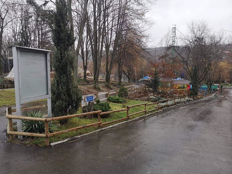 В Кишиневский зоопарк привезут медведей и волков с Камчатки.