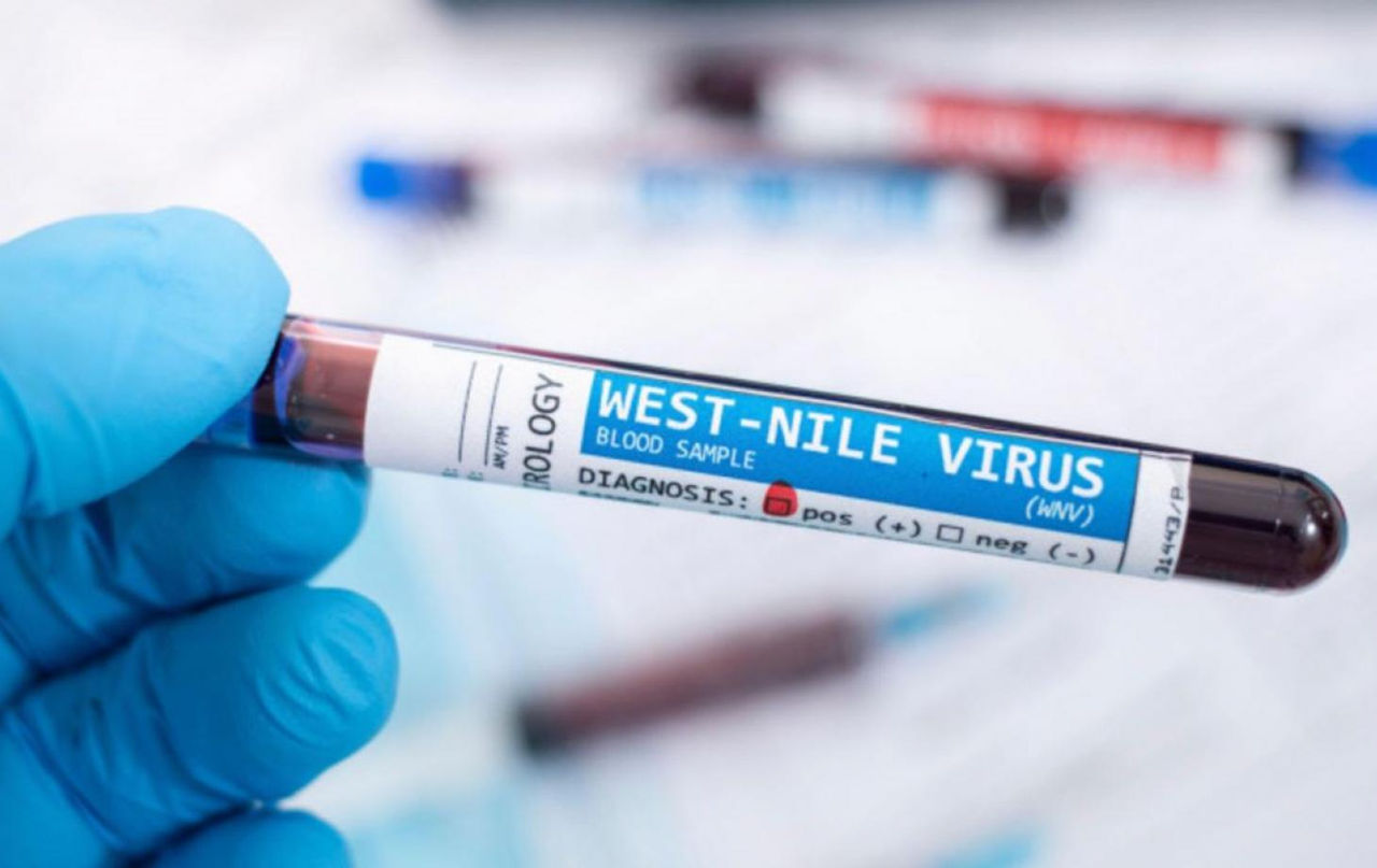 Două cazuri de infectare cu virusul West Nile, depistate în România.