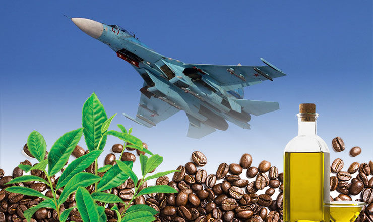 Ulei de palmier, ceai și cafea pentru 11 avioane rusești