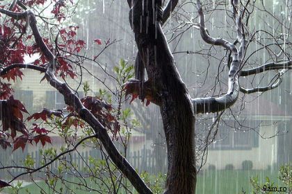 Detalii privind prognoza meteo puteți afla pe meteo.point.md.