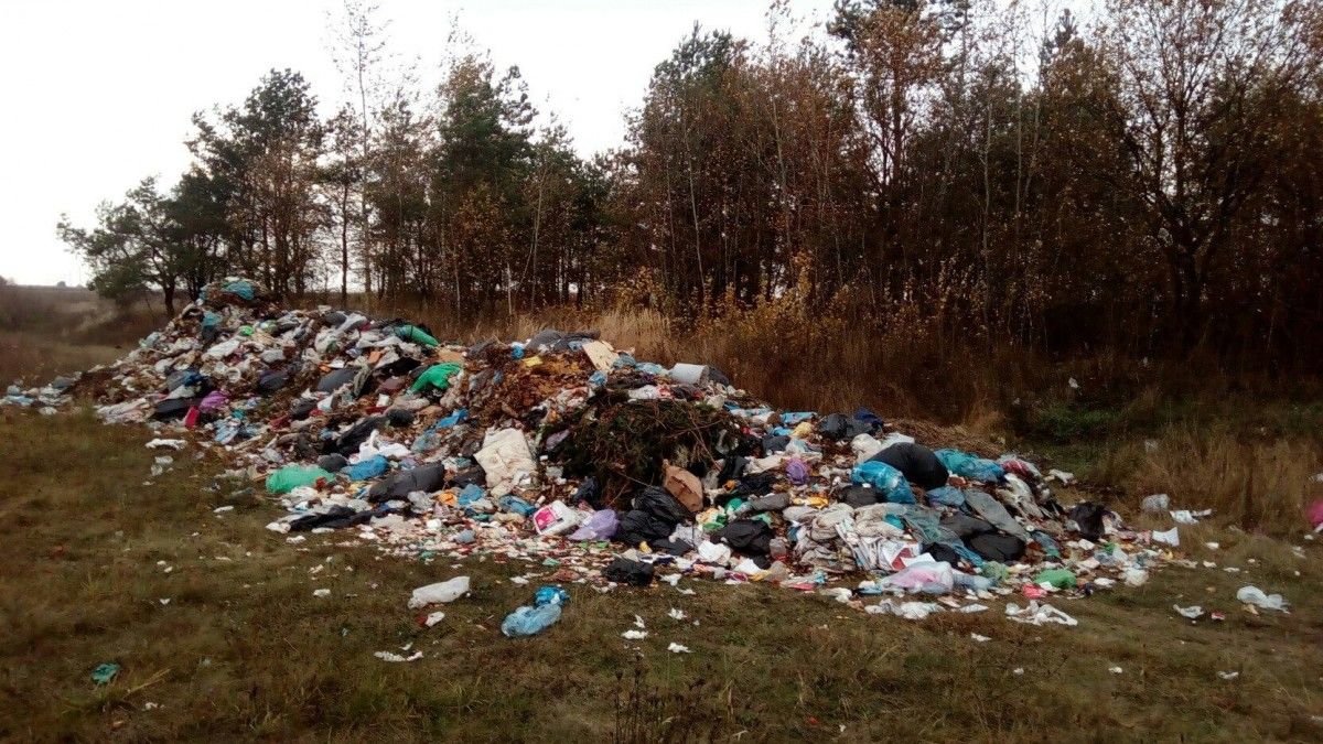 Киевская городская государственная администрация рассматривает вариант по вывозу и захоронению мусорных остатков в зону отчуждения.