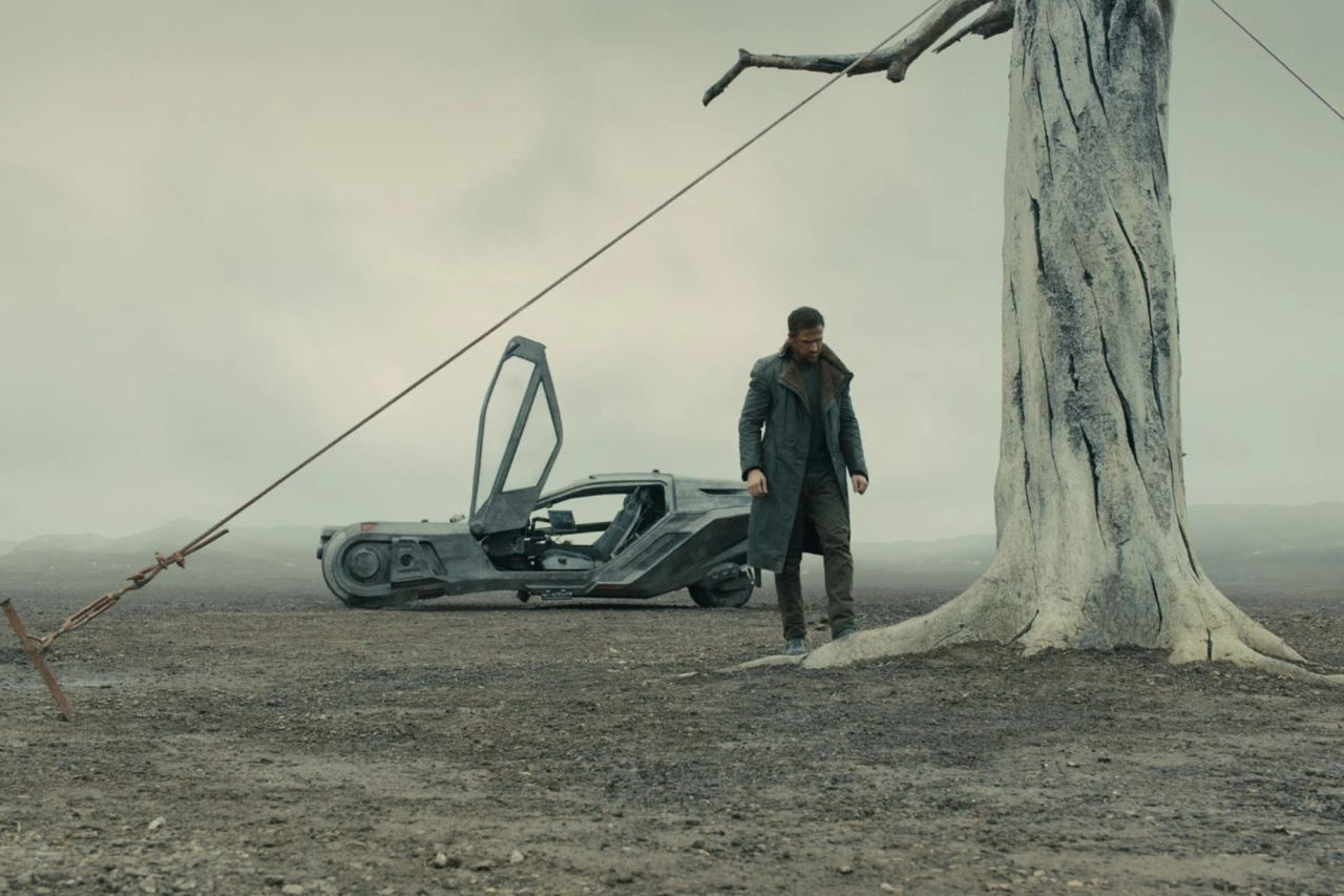 На Илона Маска, Tesla и Warner Bros. подали в суд.