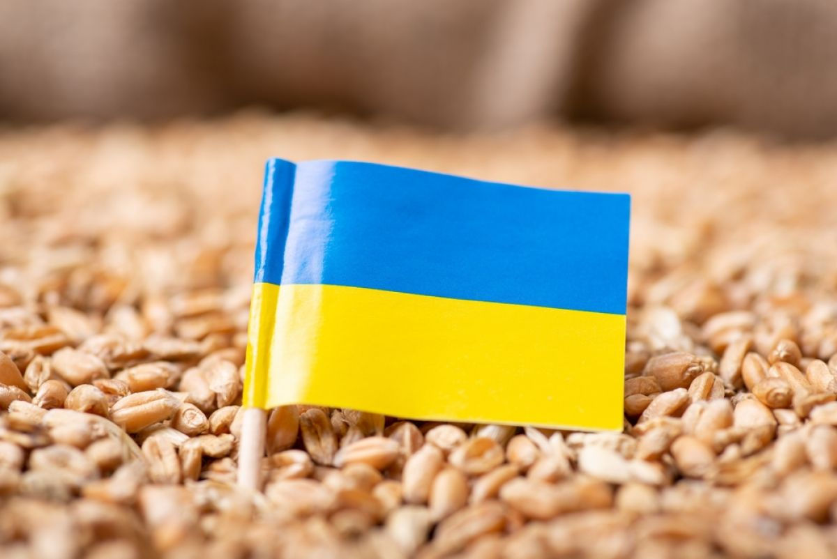 Еврокомиссия продлит ограничение на ввоз украинской сельскохозяйственной продукции в страны ЕС.