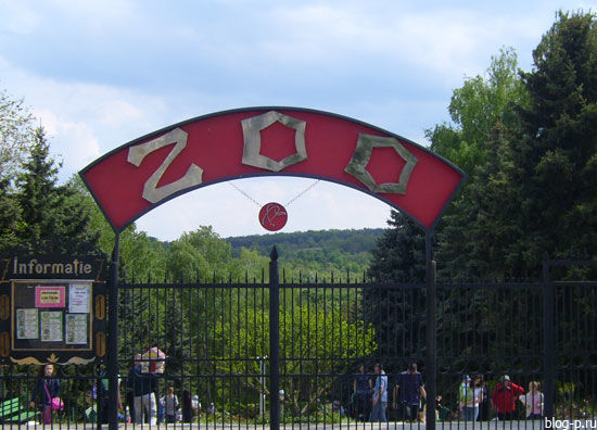 Incidentul a avut loc ieri, la Grădina Zoologică din Capitală în timp ce copilul se juca alături de părinţi.