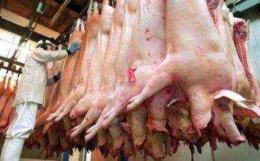 Peste 5,8 tone de carne de porc, reținute la frontieră cu Ucraina