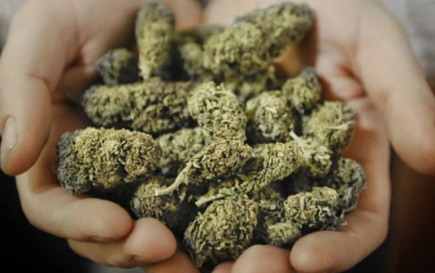 Bărbatul a organizat transportarea a peste 4 kg de marijuana din Grecia în Republica Moldova. Foto: realitatea.md