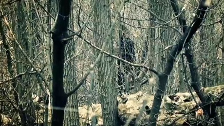 Un bărbat de 36 de ani a fost găsit strangulat în această după amiază. Foto: canal3.md