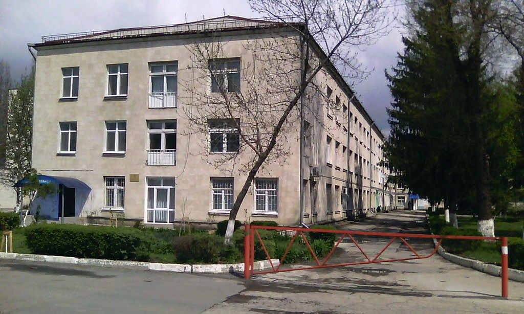Руслан Кодряну примет решение в отношении руководства горбольницы №1. 