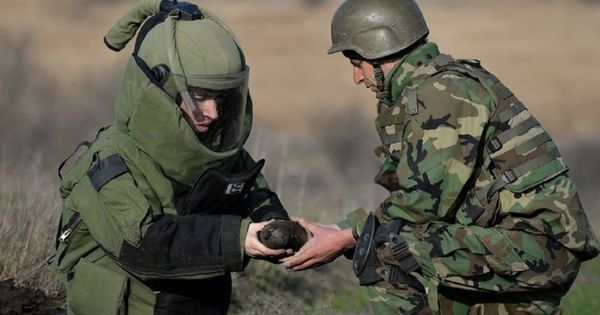 С начала года саперы обезвредили 6900 взрывоопасных предметов.