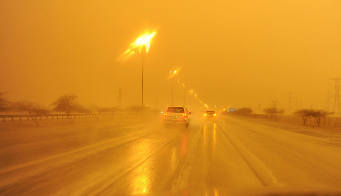 Canicula dintr-un oraș atinge constant +45°C: Este atât de insuportabilă încât păsările cad din cer.