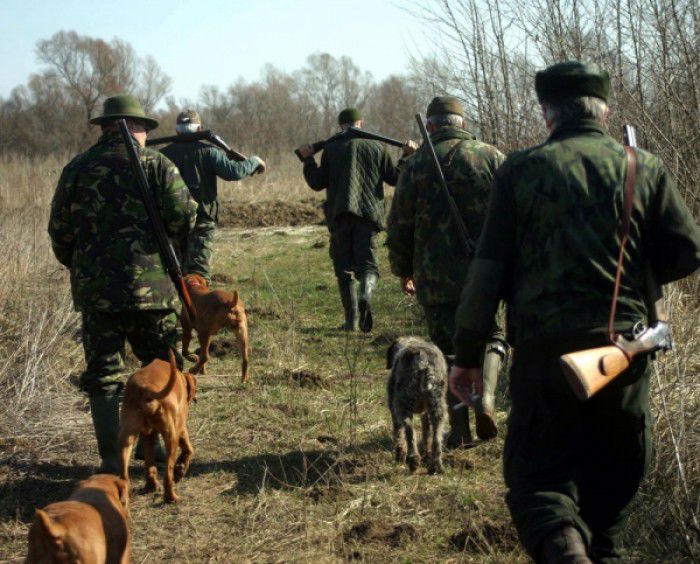 Procesul de judecată în dosarul „Pădurea Domnească” a fost iar amânat.