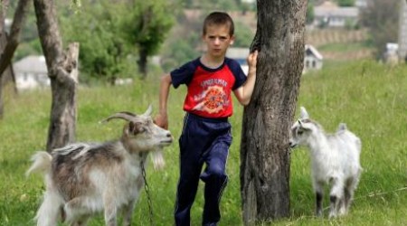 В Министерстве просвещения не замечают, что каждый восьмой ребенок в республике не посещает школу.