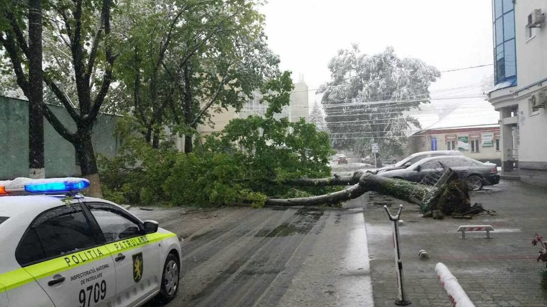 Chirtoacă i-a chemat pe toți locuitorii la o curățenie generală. Foto: HotNews
