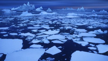 Potrivit studiului, rata de creştere a temperaturilor în emisfera norică ar putea fi de 0,25 de grade Celsius pe decadă până în 2020, un nivel nemaiîntâlnit în ultimii 1000 de ani.