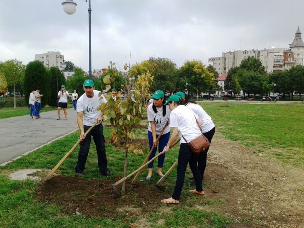 Acțiune de plantare a arborilor, astăzi, în toată republica. Foto: blogconcepthotels.wordpress.com