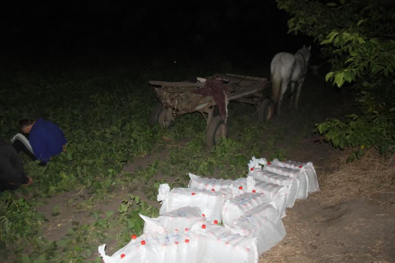 Bărbații transportau în două căruțe circa 410 de sticle cu 615 de litri de alcool. Foto: publika.md