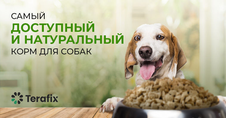 Terafix – натуральный и самый доступный корм для собак